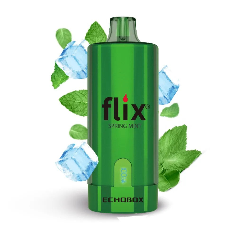 FLIX SPRING MINT DE 12000PUFF