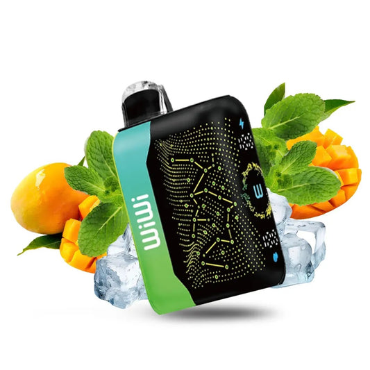WIWI GALAXY KUSHMANGO MINT DE 18000PUFF