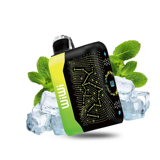 WIWI PLUS MINT ICE DE 32000PUFF