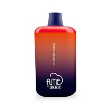 FUME BLUEBERRY GUAVA DE 5000PUFF