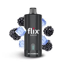 FLIX BLACK ICE DE 12000PUFF